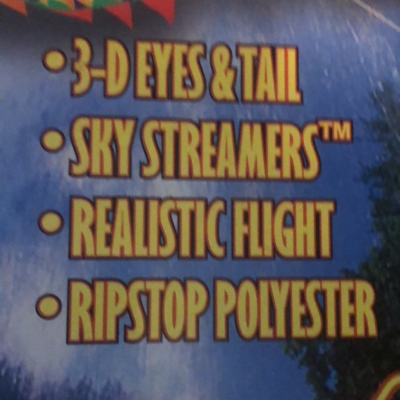 Dragon kite 3 dimensional ready to fly 67” over 5 foot wingspan - Picture 5 of 9